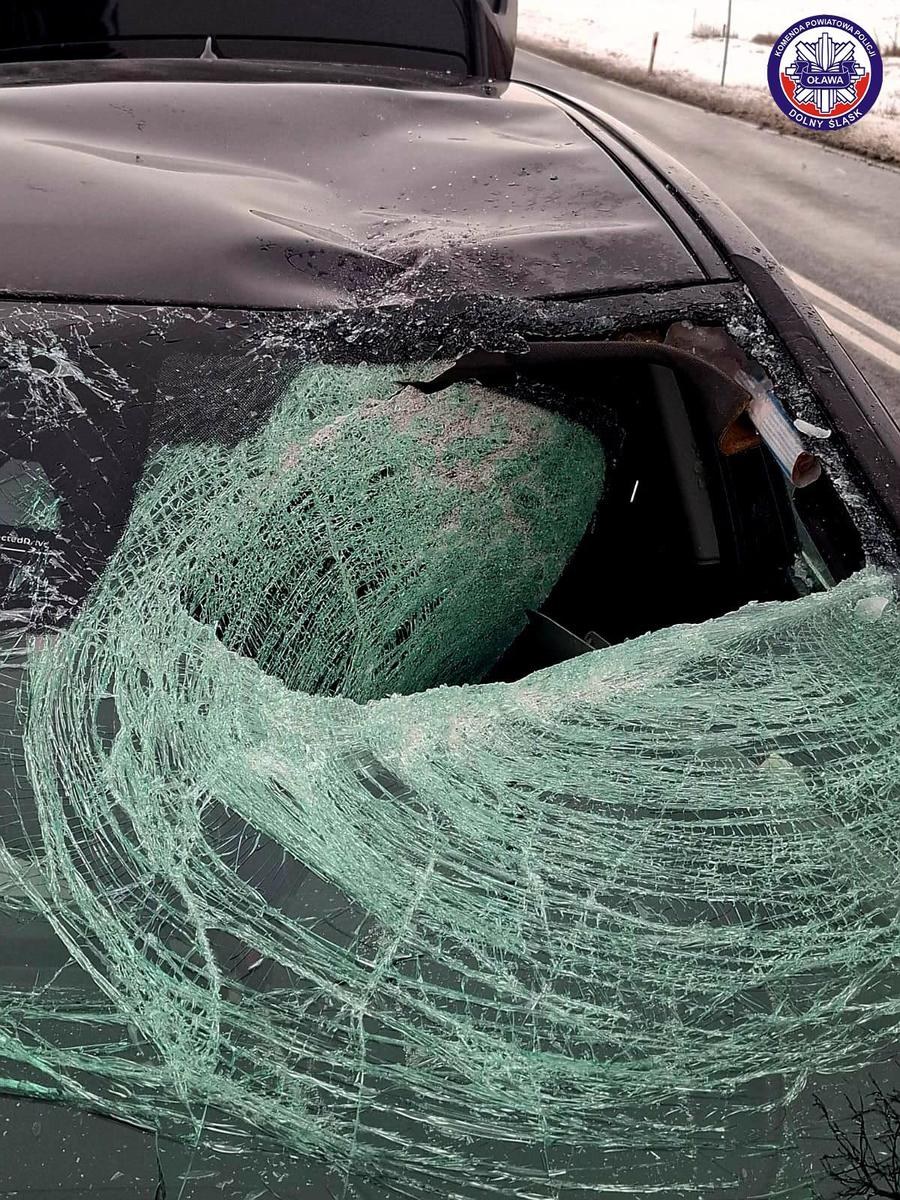 /Policja Oława /Policja