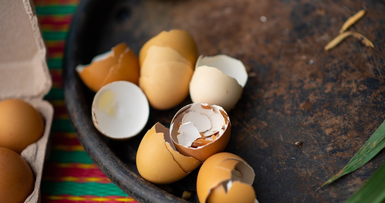 Wstrzymaj się po zrobieniu jajecznicy. To uratuje kwiaty