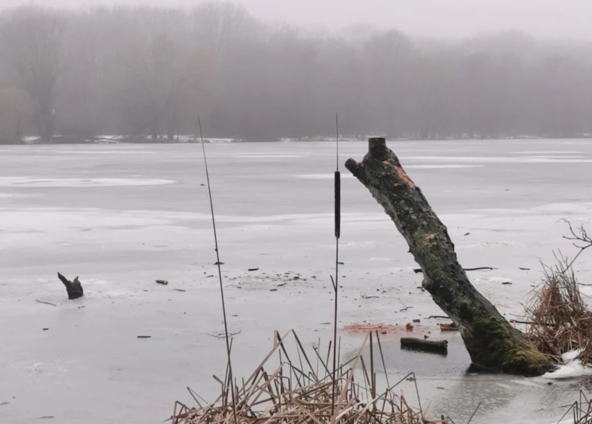 Ktoś zniszczył kultowe miejsce, uwieczniane często na zdjęciach przez mieszkańców Poznania. Chodzi o słynne drzewo nad jeziorem Rusałka. 