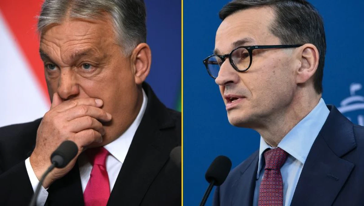 Premier Włoch Giorgia Meloni, były premier Polski Mateusz Morawiecki, szefowa francuskiego Frontu Narodowego Marine Le Pen, Alice Weidel, współliderka skrajnie prawicowej Alternatywy dla Niemiec czy premier Izraela Benjamin Netanjahu - między innymi ci politycy znaleźli się na klipie popierającym Viktora Orbana. Premier Węgier opublikował film w tym tygodniu w swoich mediach społecznościowych.  