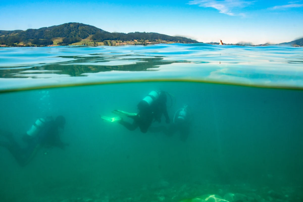 Kolejne trzy skrzynie z amunicją zostały wyłowione z Jeziora Pilchowickiego na Dolnym Śląsku - potwierdziła policja w rozmowie z "Gazetą Wrocławską". Do akcji ściągnięto wojskowych nurków-saperów ze Świnoujścia. Pierwszą skrzynię wyłowiono pod koniec grudnia ubiegłego roku. Była pełna współczesnej amunicji różnego kalibru.