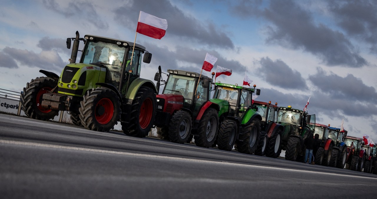 UE otwiera się na Mercosur. "Polska będzie musiała konkurować z Niemcami"
