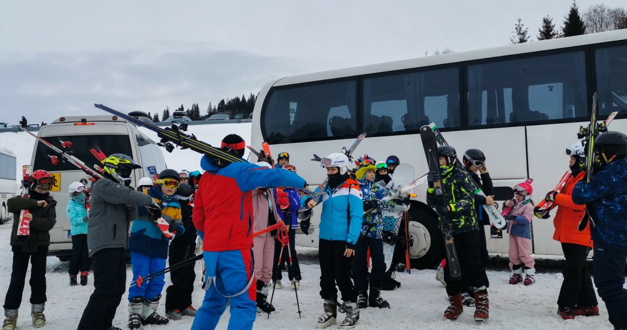 Jak sprawdzić autobus przed feriami? Można to zrobić samemu
