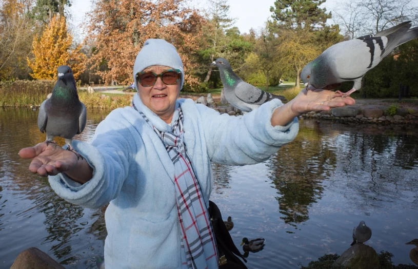 ZUS wyśle ponad 10 mln bardzo ważnych formularzy. Trafią m.in. do seniorów
