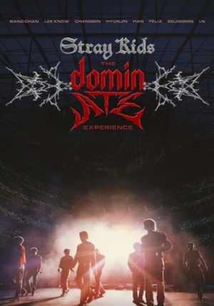 Stray Kids: The dominATE Experience