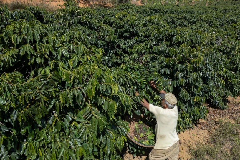 Barometr turystyczny ONZ. W tych krajach będzie w tym roku tłoczno