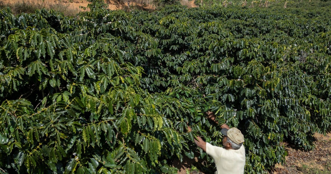 Barometr turystyczny ONZ. W tych krajach będzie w tym roku tłoczno