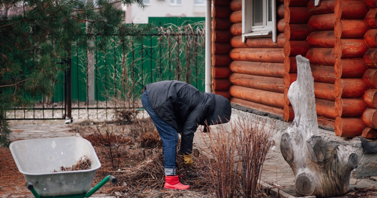 Płacą choćby 10 tys. zł. Oferty pracy na wsi czekają na chętnych