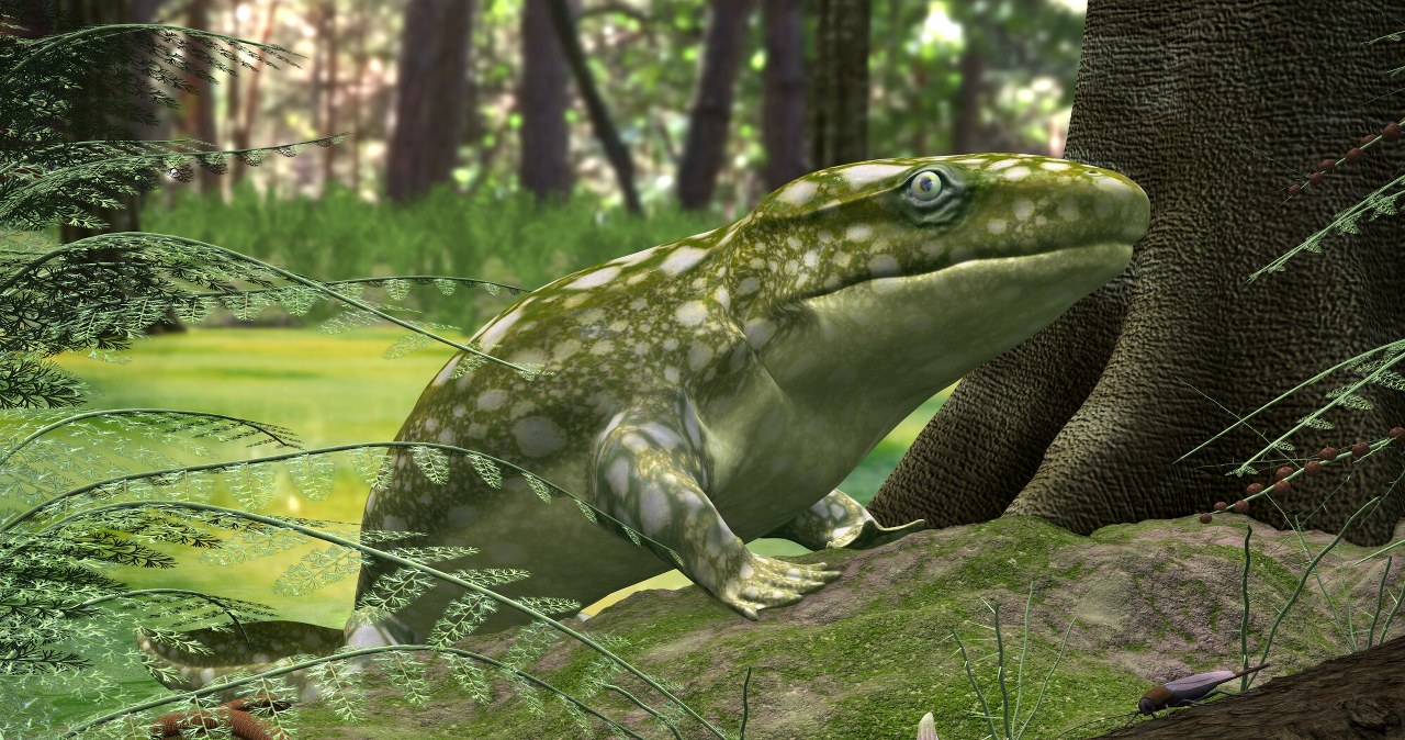 Na brzegu Grenlandii wydarzyło się coś, co zmieniło cały nasz świat