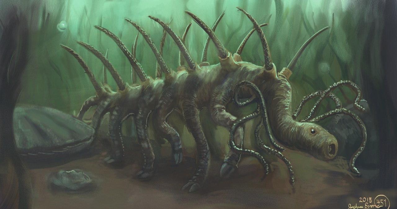 Poznaliśmy dietę jednego z najdziwniejszych zwierząt świata. Trochę ciarki