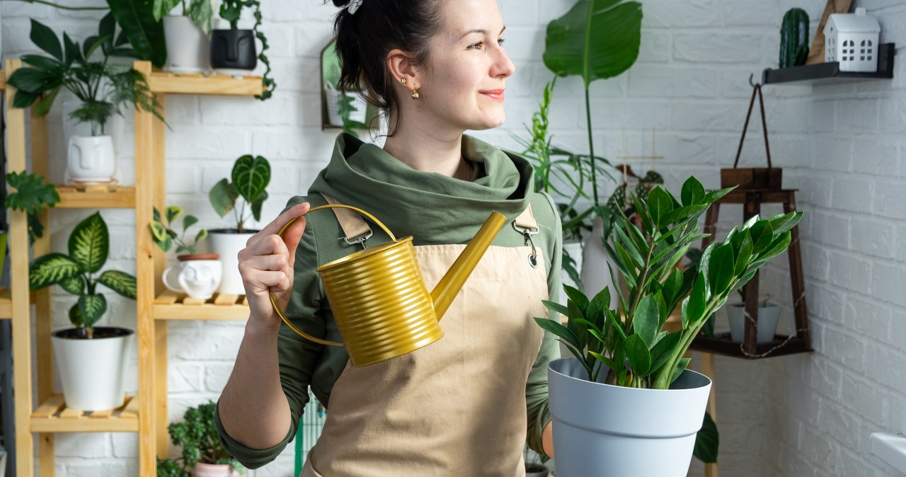 Użyj do ciasta, a z resztek zrób odżywkę. Zamiokulkas ją uwielbia