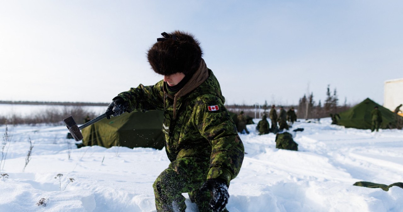 Sąsiad USA wyśle żołnierzy na Grenlandię? Pierwsze doniesienia