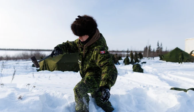 Sąsiad USA może wysłać żołnierzy na Grenlandię. "Popieramy suwerenność Danii"