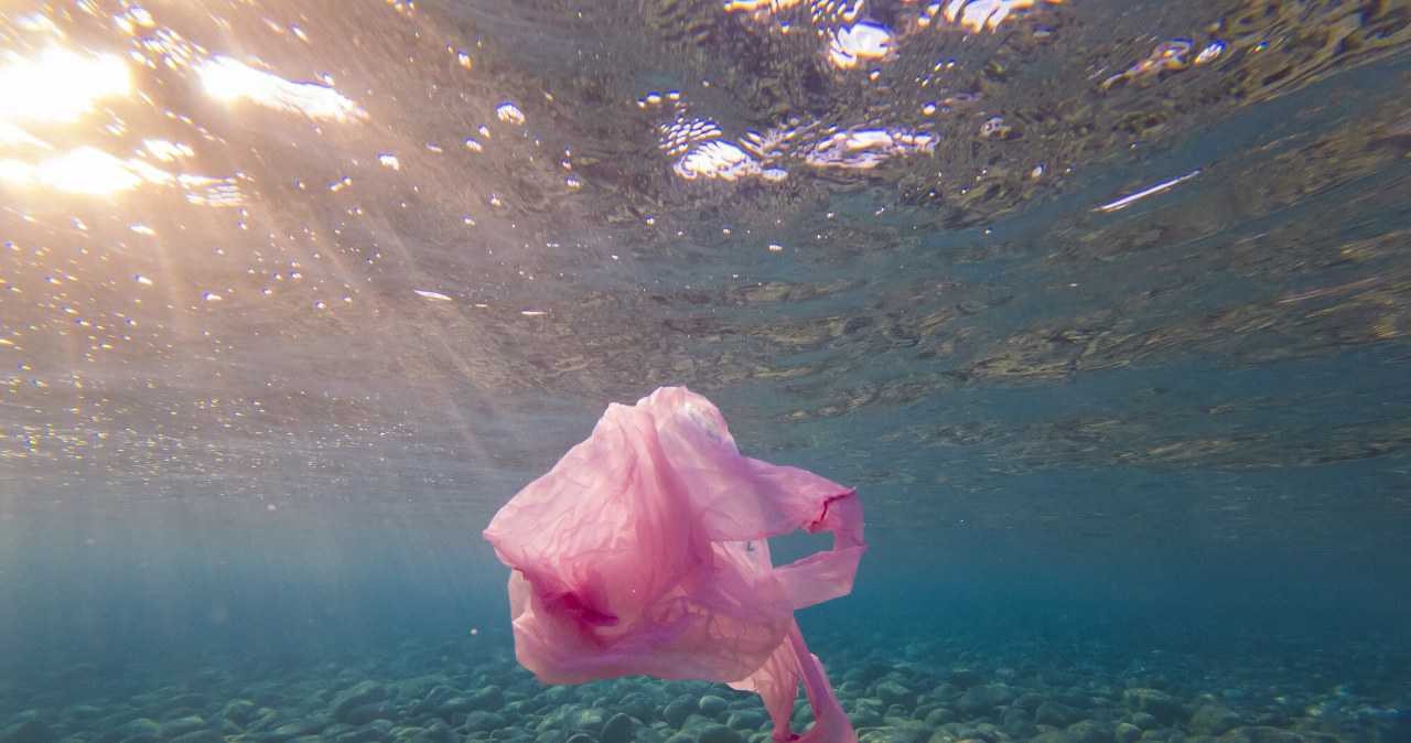 Reklamówka rozpłynie się w wodzie. Wystarczy kilka godzin