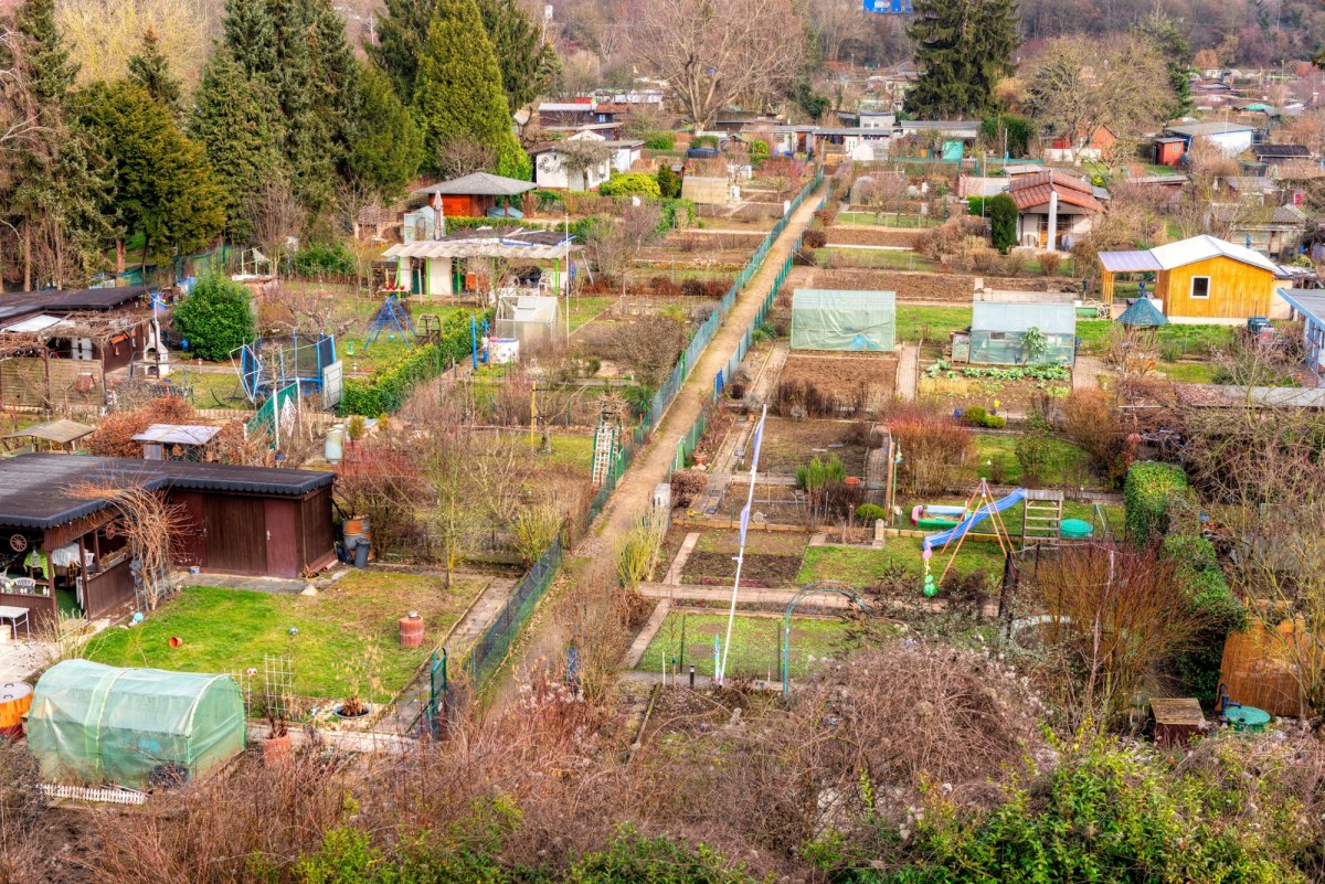 Działki ROD zostaną zlikwidowane? Jest apel do rządu