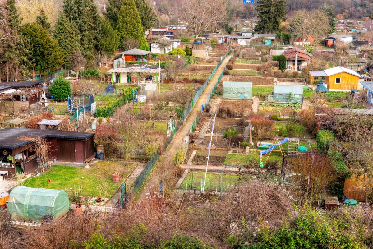 Krajowy Zarząd Polskiego Związku Działkowców alarmuje o trudnej sytuacji rodzinnych ogrodów działkowych (ROD). Mimo sporego zainteresowania działkami, drastycznie spada ich dostępność. Sprawy nie ułatwia zjawisko stopniowej ich likwidacji - informuje Portal Samorządowy. 