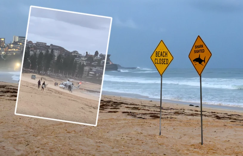 Sceny jak z horroru. Żarłacze zaatakowały ludzi