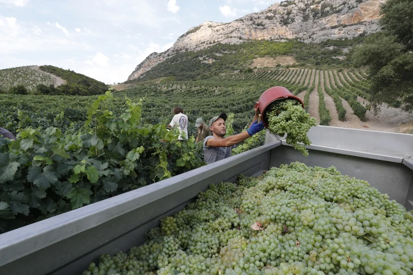 Groźby z USA wywołują niepokój w Paryżu. "Nieakceptowalne i nieskuteczne"