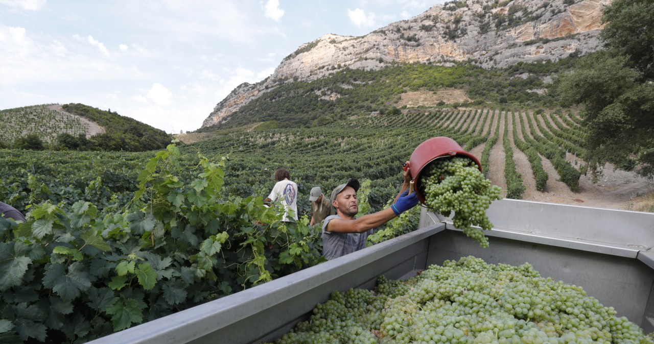 Groźby z USA wywołują niepokój w Paryżu. "Nieakceptowalne i nieskuteczne"