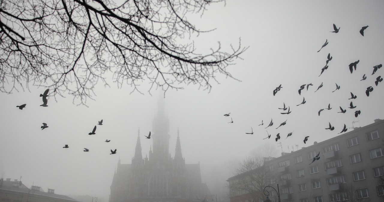 Trzeci stopień zagrożenia. Kraków uruchomił darmową komunikację