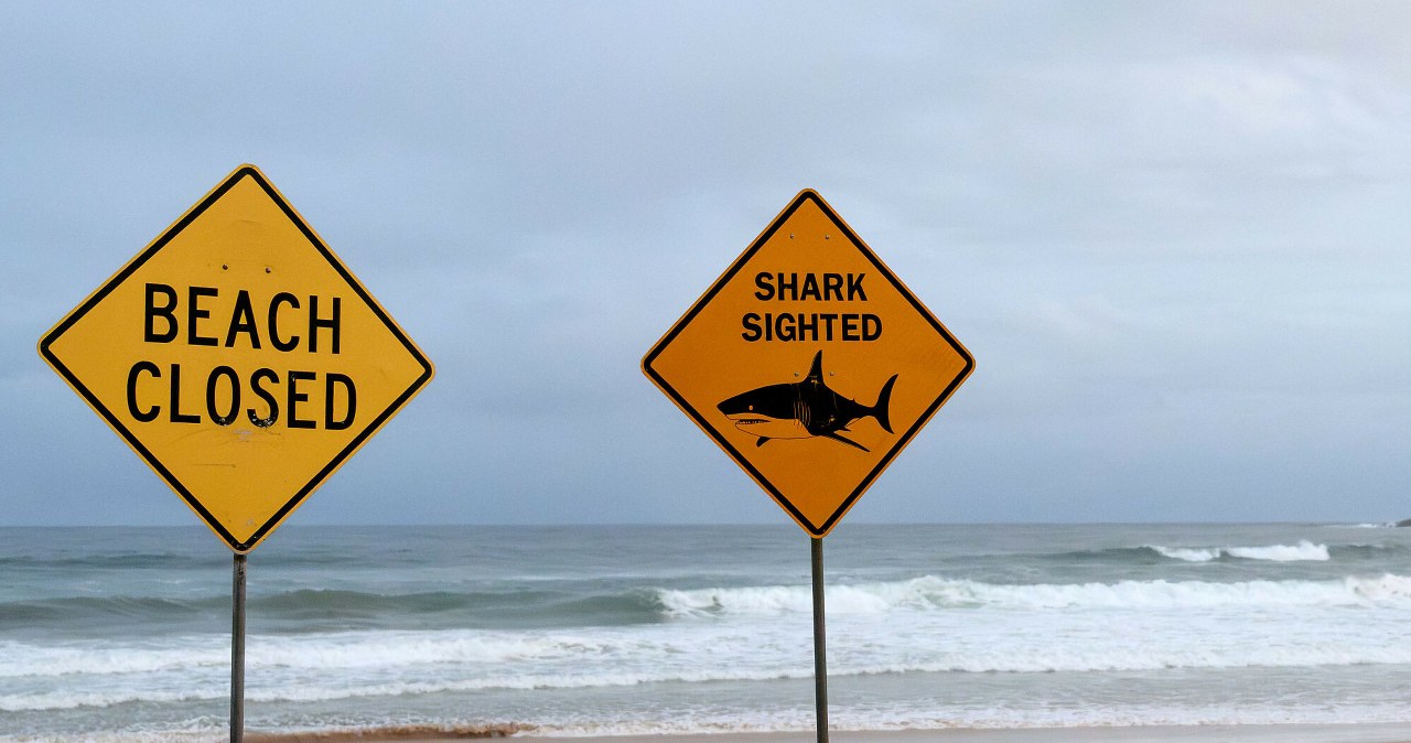 Rekiny znów zaatakowały. Zamknięto aż 40 plaż