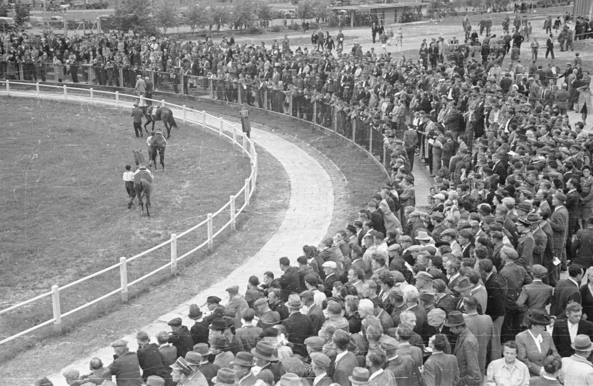 Zakulisowe oblicze wyścigów konnych lat 90. "Wielka Warszawska" to będzie hit!