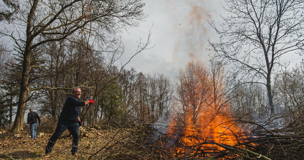 Palisz gałęzie na swojej działce? Możesz zapłacić za to nawet 5 tys. zł Palisz gałęzie na swojej działce? Możesz zapłacić za to nawet 5 tys. zł