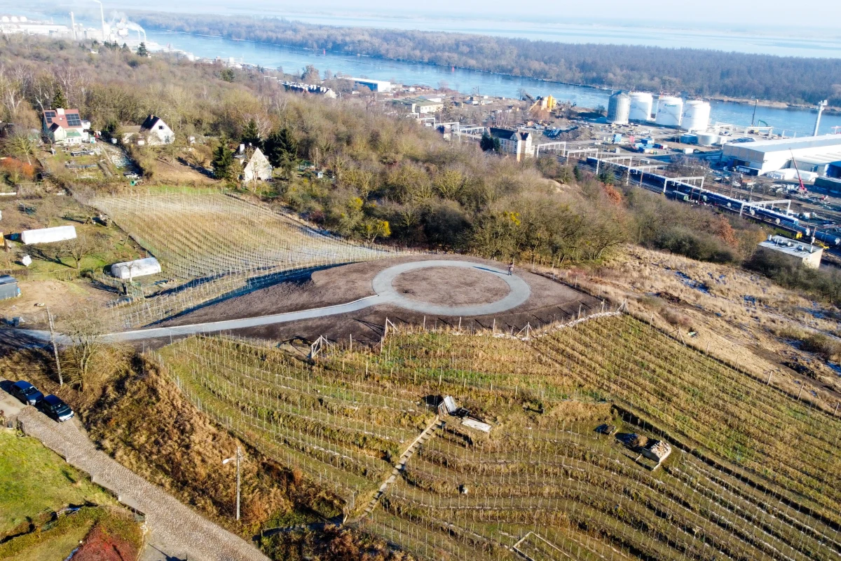 To miejsce jeszcze niedawno było porośnięte gęstymi zaroślami, dziś zachwyca widokiem na Odrę, Jezioro Dąbie i północny Szczecin. Wzgórze przy ul. Górskiej na Stołczynie zmieniło się nie do poznania, a na jego zboczach znów królują winorośle.
