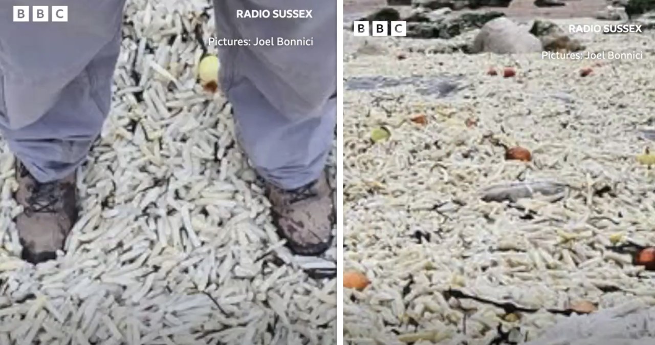 To nie AI. Angielska plaża pod warstwą frytek i cebuli