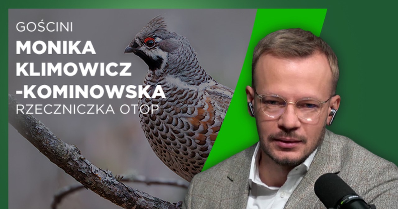 Ptaki nie znają granic. Konieczna była zmiana prawa w Polsce