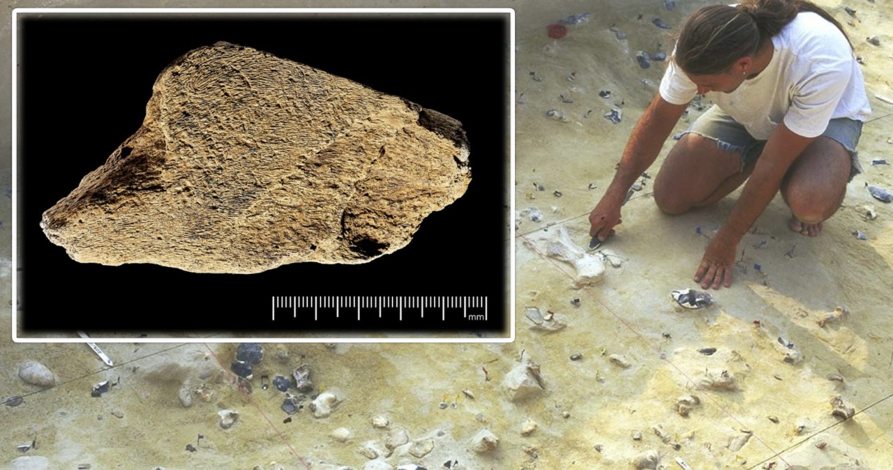 Sensacja archeologiczna w Anglii. Młotek sprzed pół miliona lat zmienia historię Europy