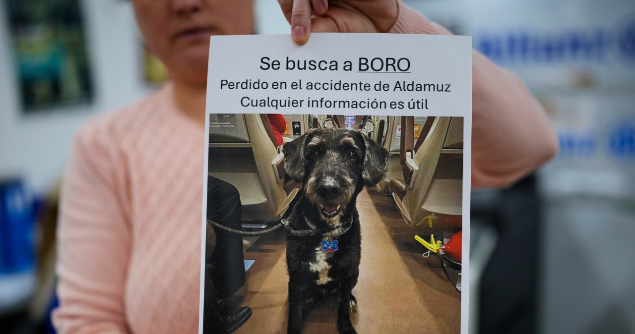 Po katastrofie szukała go cała Hiszpania. Szczęśliwy finał