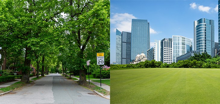 /University of California - Davis Health /Materiały prasowe