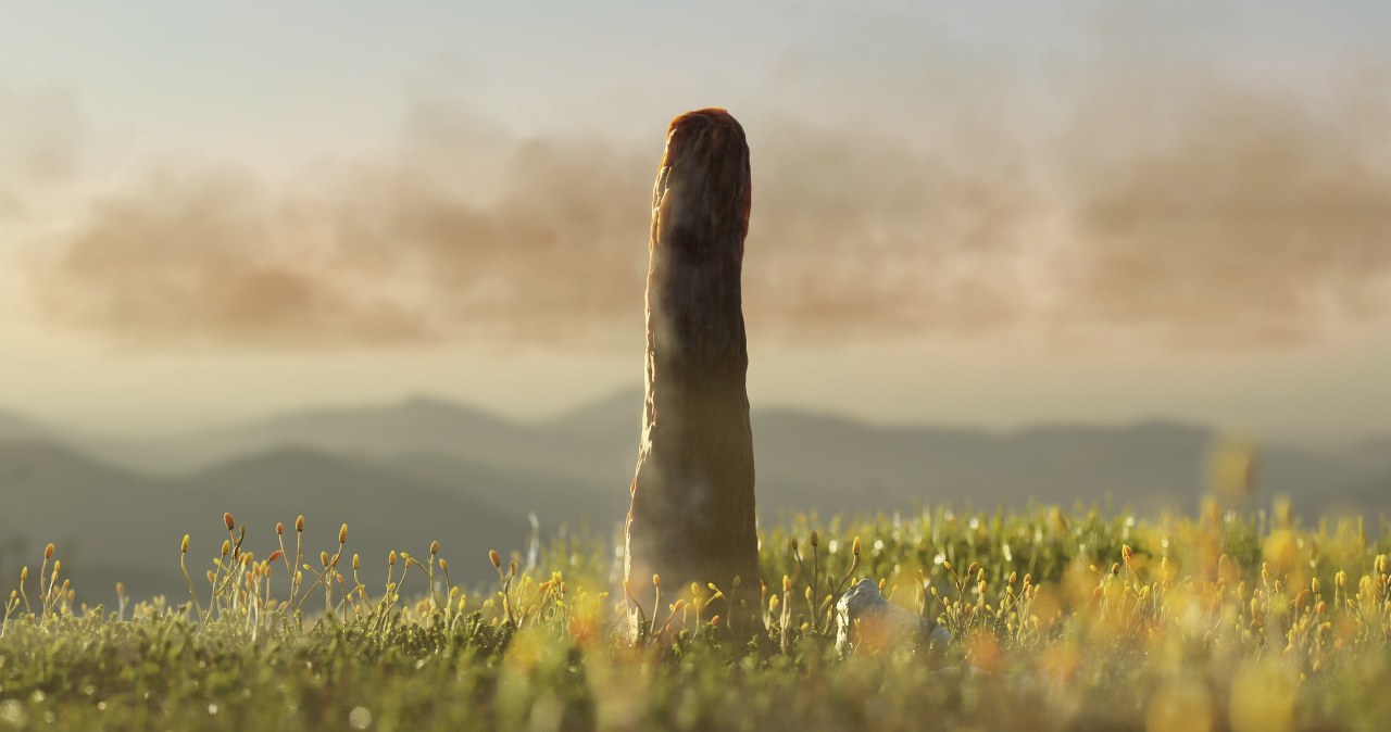 Tajemnicze olbrzymy. Naukowcy potwierdzają istnienie wymarłej gałęzi życia