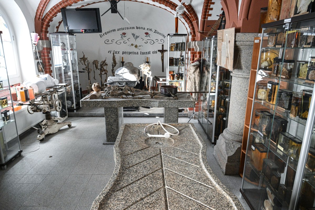 To najbardziej niezwykłe muzeum w Polsce. Jest pełne szokujących eksponatów