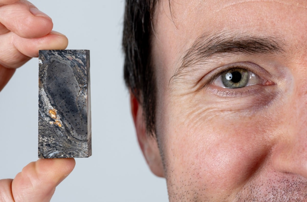 Paleontologiczna sensacja. Naukowcy odkryli wymarłą formę życia