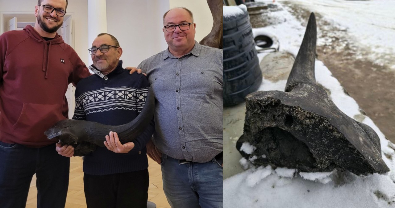 Kopali staw na działce. Znaleźli przyrodniczy skarb