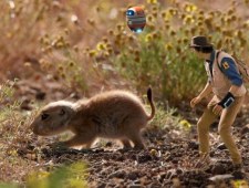 Misja Andy'ego: młode zwierzęta