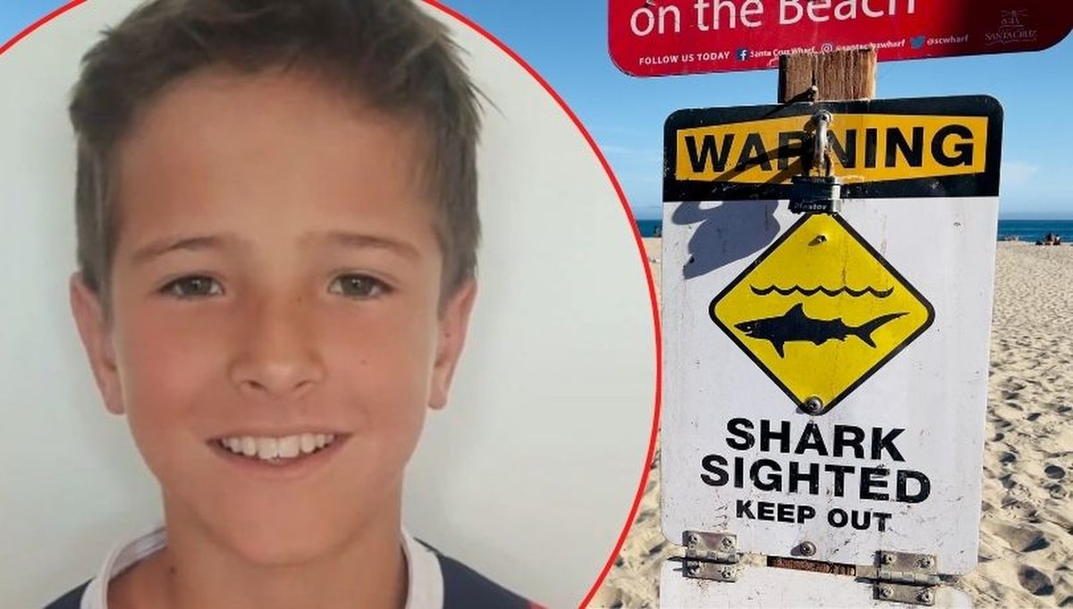 Atak rekina w Sydney. 12-latek zmarł w szpitalu