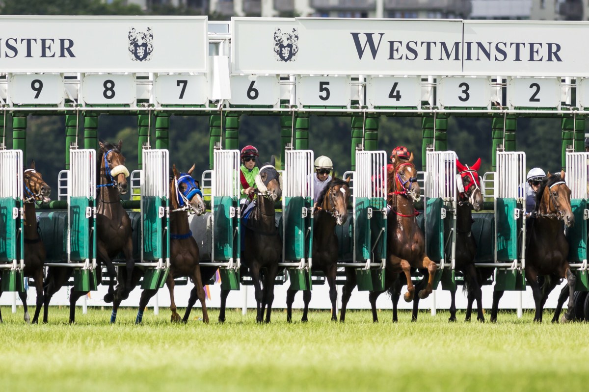 Koń z kontuzją zmuszony do biegu, a później uśpiony. Jest śledztwo