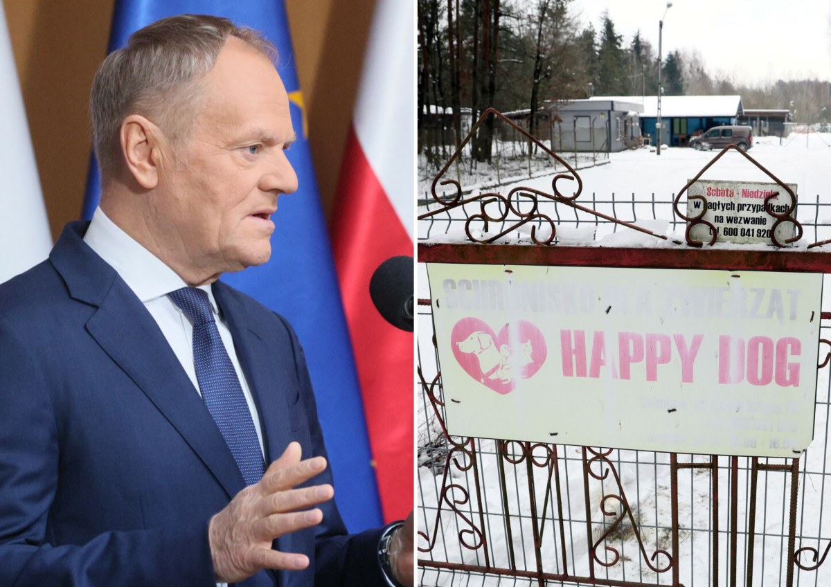 Donald Tusk: Schronisko w Sobolewie zostało zamknięte