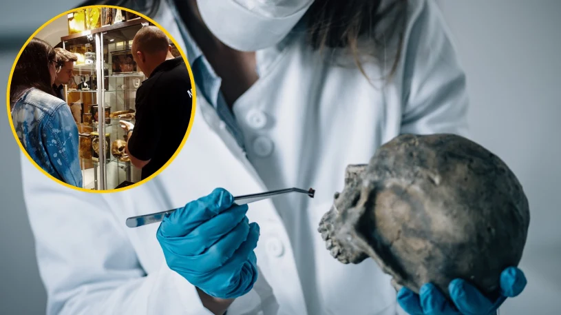 Jedyne takie muzeum w Polsce. Raj dla fanów true crime