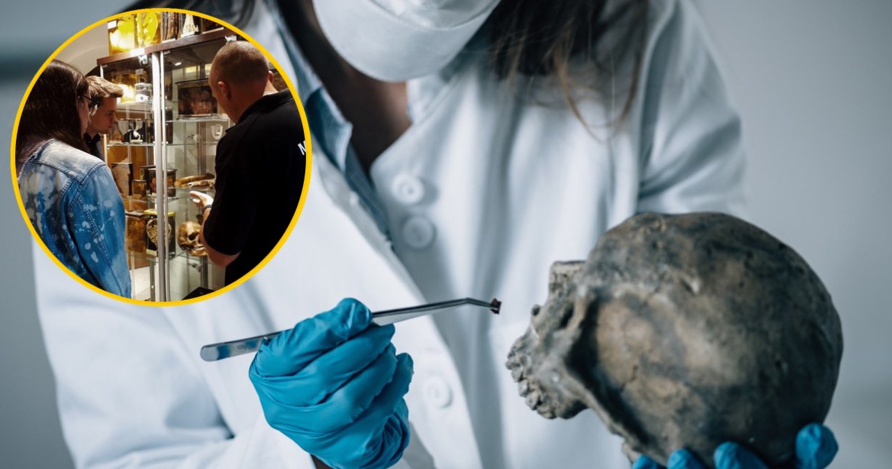 Jedyne takie muzeum w Polsce. Raj dla fanów true crime