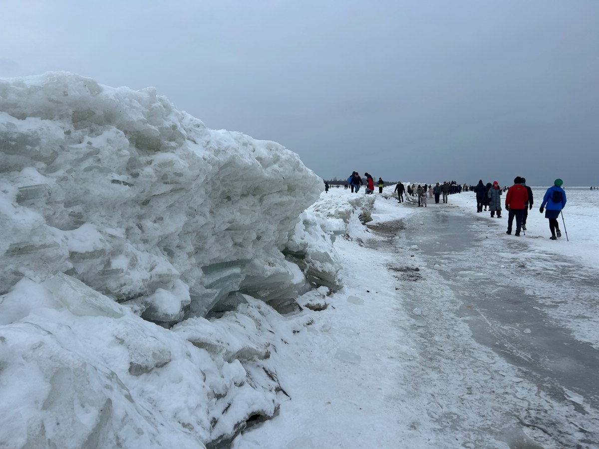 Mikoszewo jak lodowa kraina. Niezwykłe zjawisko zachwyca spacerowiczów