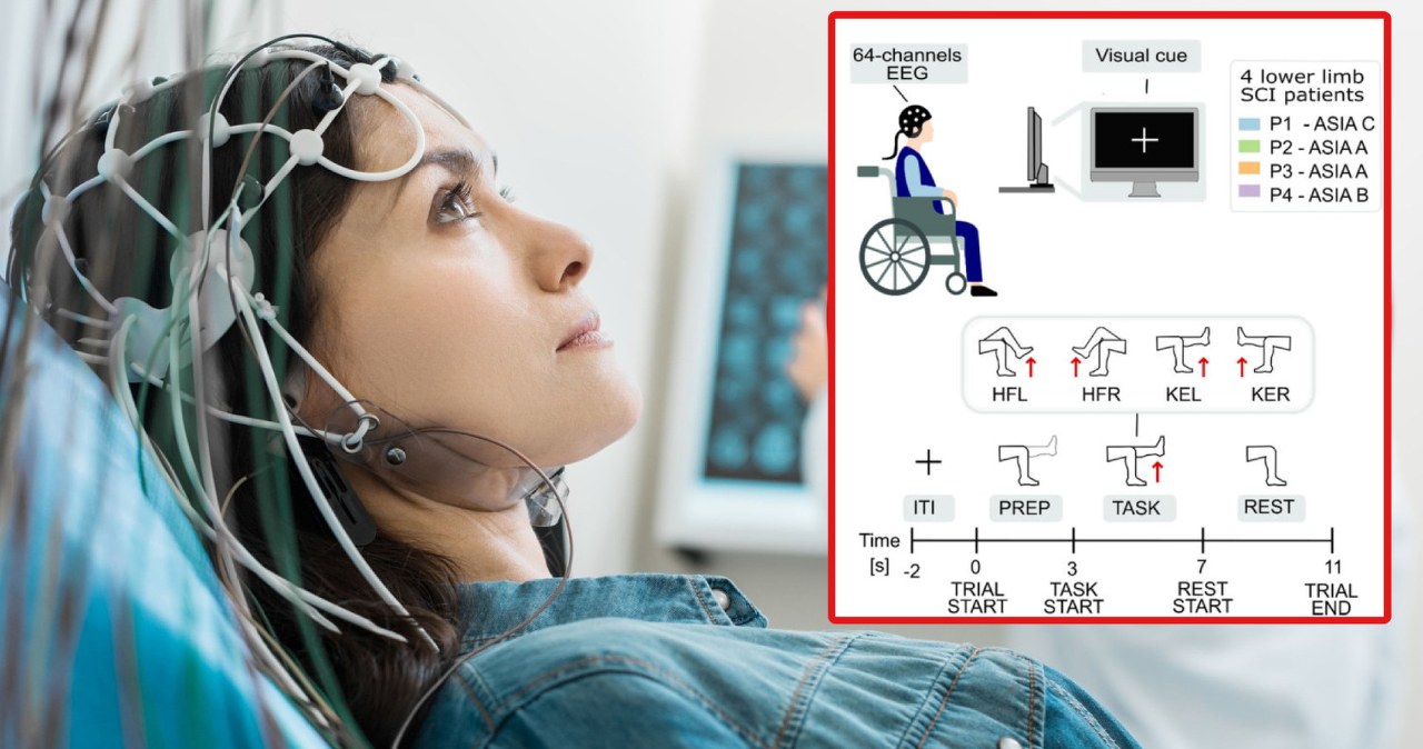 Sparaliżowane osoby odzyskają sprawność dzięki falom mózgowym?