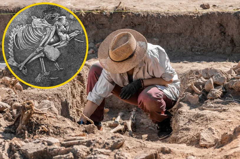 W tym kraju ludzie jedli psy. Odkryli kości sprzed 2500 lat