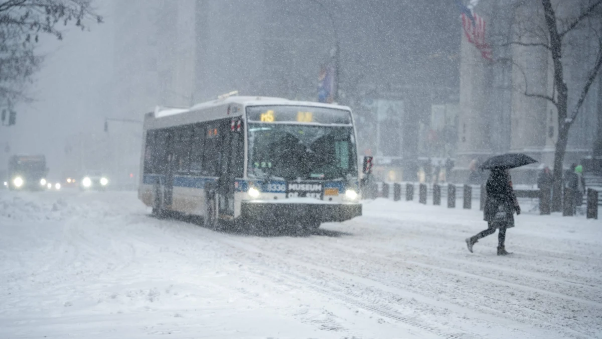 Około milion odbiorców zostało pozbawionych zasilania na skutek burzy śnieżnej, która uderzyła w USA - wynika z danych serwisu PowerOutage.com. Żywioł najbardziej dotknął południowe i wschodnie stany USA. W Nowym Jorku znaleziono pięć zamarzniętych osób – informuje "New York Times".