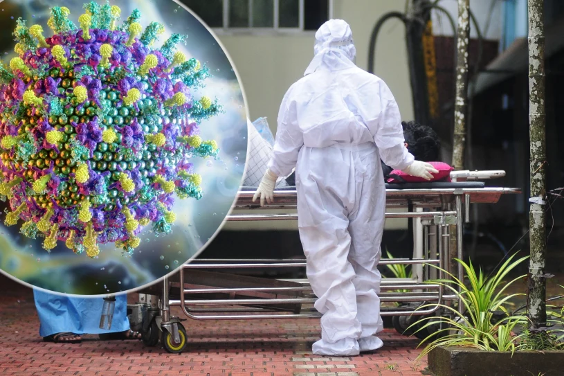 Powrót śmiertelnego wirusa Nipah. Dwa kraje powzięły radykalne środki