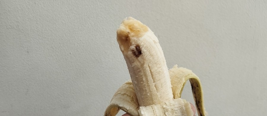 Czy można jeść mocno dojrzałe banany? Niektórzy czekają na ten moment, aż na żółtej skórce pojawi się brąz – uważają, że takie owoce są słodsze. Im ciemniejsze, tym łatwiejsze do rozgniecenia – myślą z kolei rodzice. Często przekonani, że kolor na zewnątrz nie wpływa znacząco na wnętrze - zwłaszcza, jeżeli jego barwa nie uległa szczególnej zmianie. Badania Bawarskiego Krajowego Urzędu ds. Zdrowia i Bezpieczeństwa Żywności pokazują jednak, że im dłużej banan leży – tym mniej nadaje się dla dzieci.