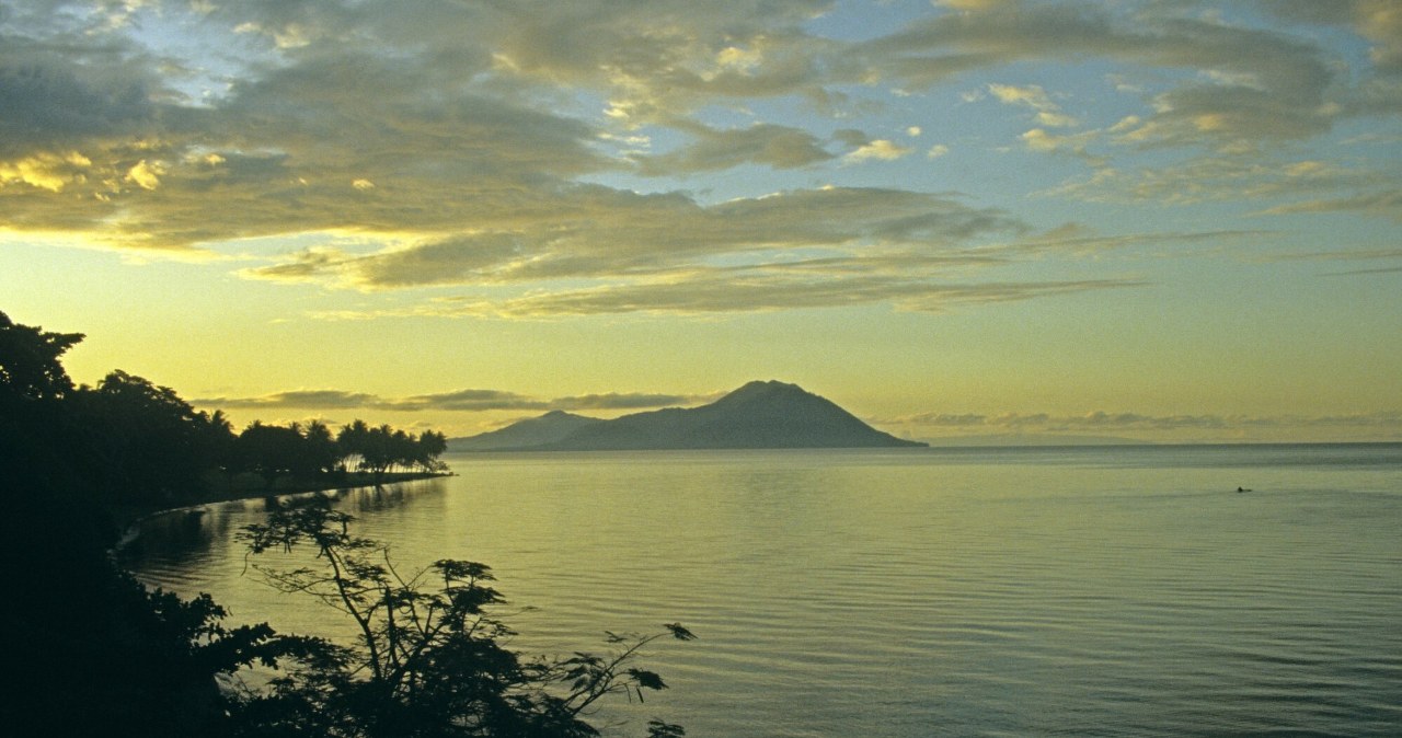 Toksyny w oceanie, martwe ryby i chorzy ludzie. Kryzys na rajskiej wyspie Toksyny w oceanie, martwe ryby i chorzy ludzie. Kryzys na rajskiej wyspie